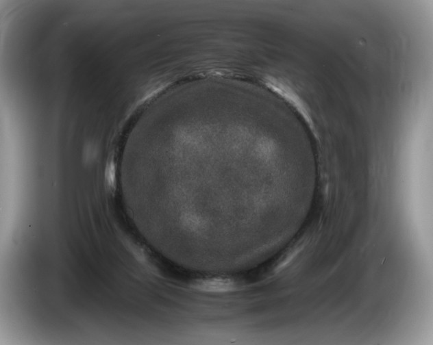 X0000086280067200704122055