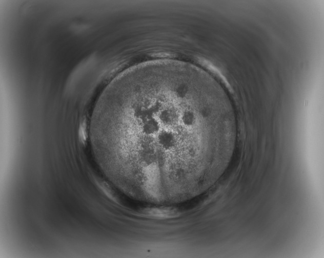 X0000086280069200704122055