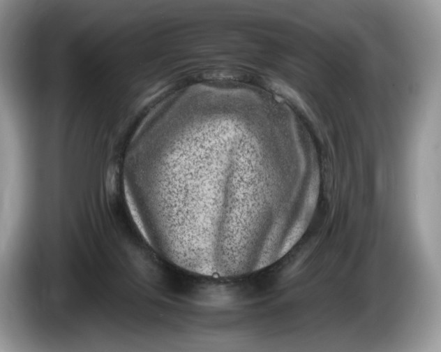 X0000086280071200704122055