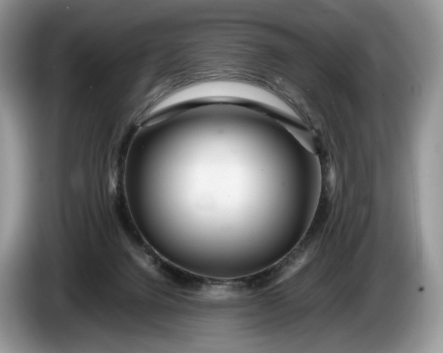 X0000086280072200704122055