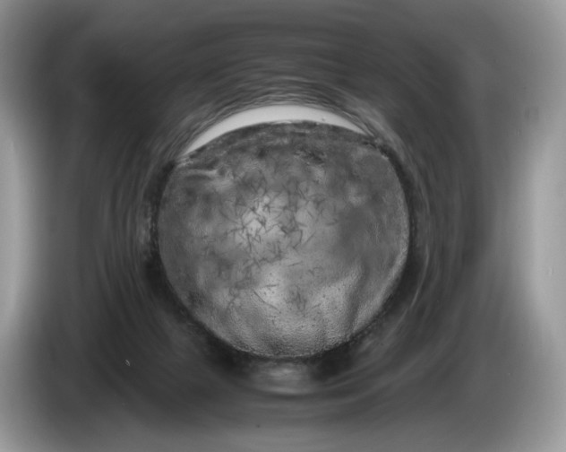 X0000086280073200704122055