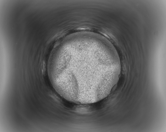 X0000086280077200704122055