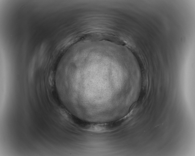 X0000086280078200704122055