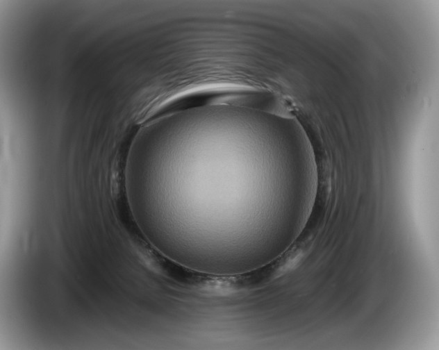 X0000086280080200704122055