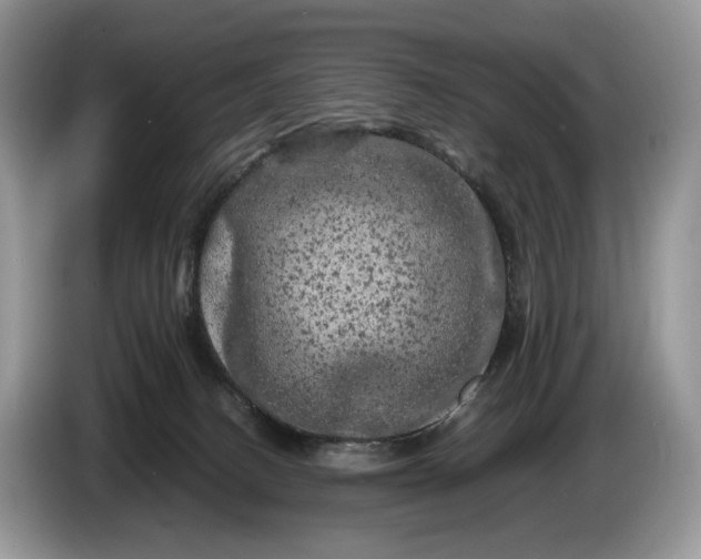 X0000086280082200704122055