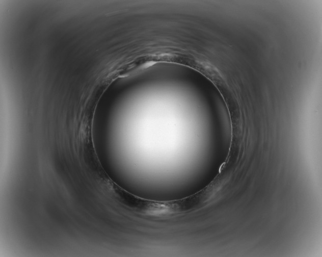 X0000086280083200704122055