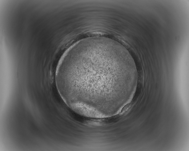 X0000086280086200704122055