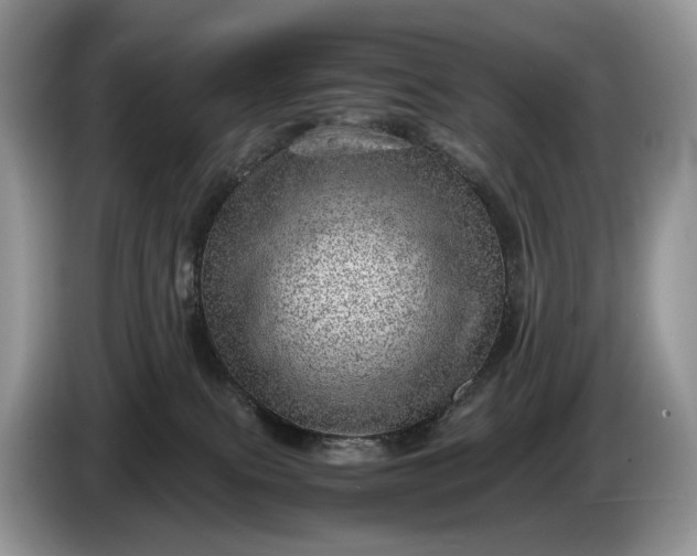 X0000086280087200704122055