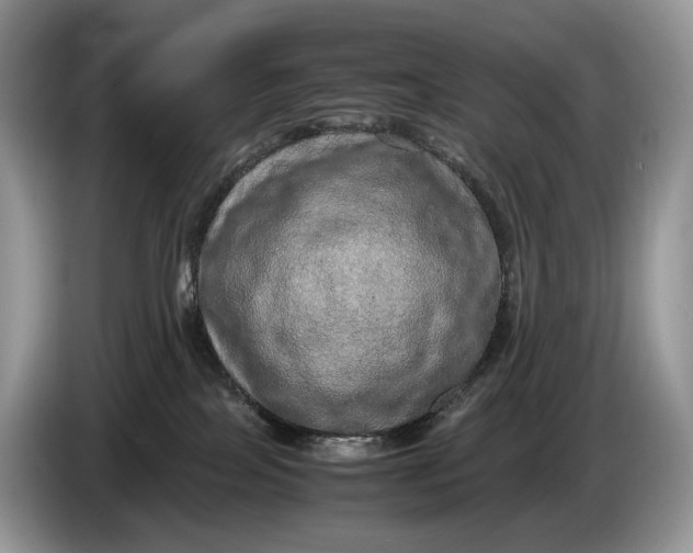 X0000086280089200704122055