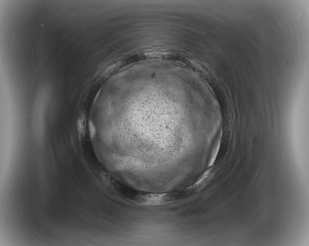 X0000086280090200704122055