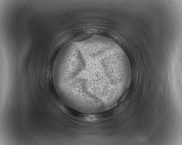 X0000086280091200704122055