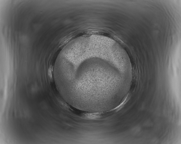 X0000086280094200704122055