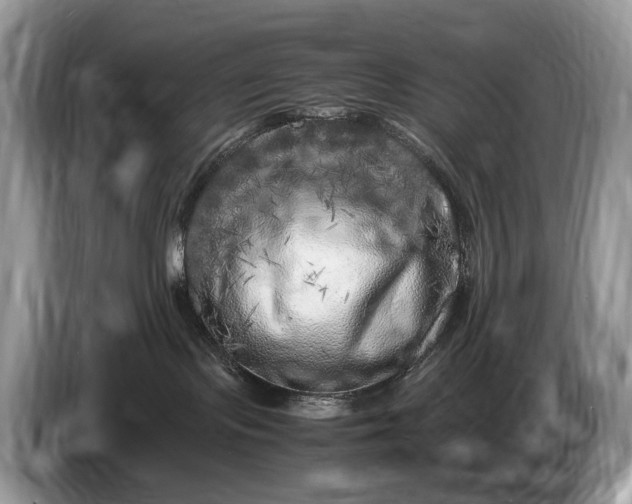 X0000086280095200704122055