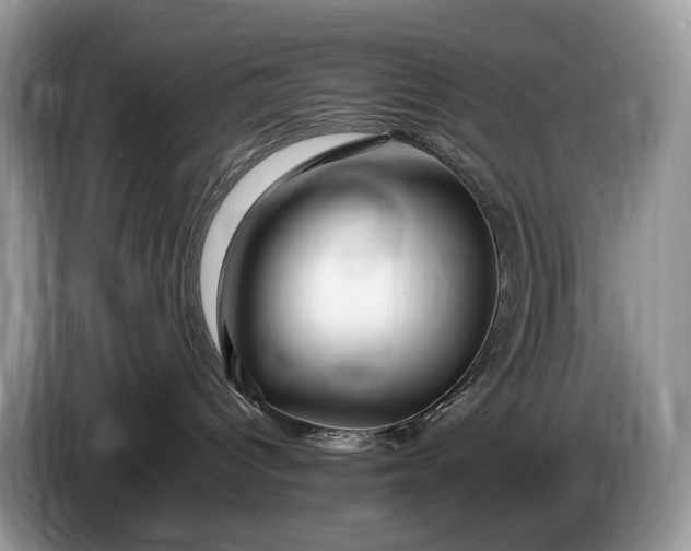 X0000086280096200704122055