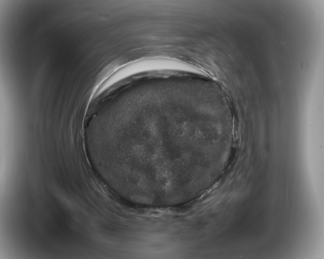 X0000086280099200704122054