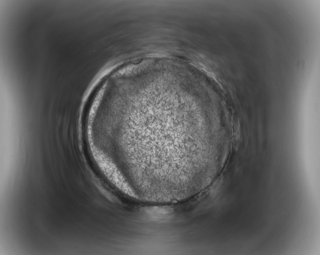 X0000086280102200704122054