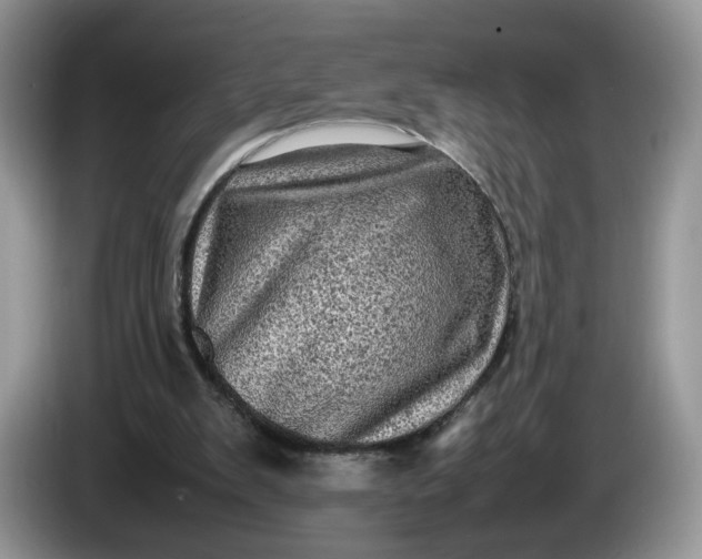 X0000086280103200704122054