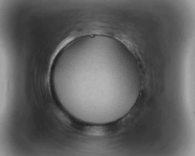 X0000086280104200704122054