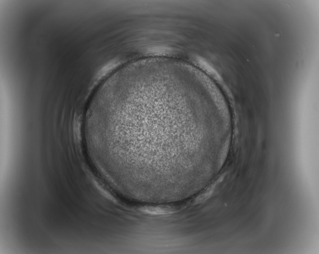 X0000086280106200704122054