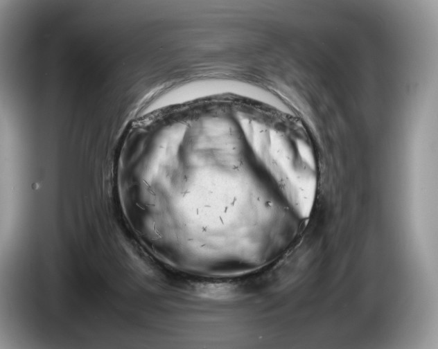 X0000086280107200704122054