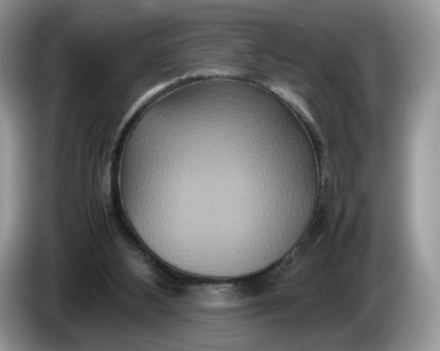 X0000086280108200704122054