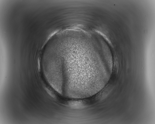 X0000086280110200704122054