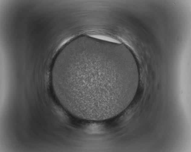 X0000086280111200704122054