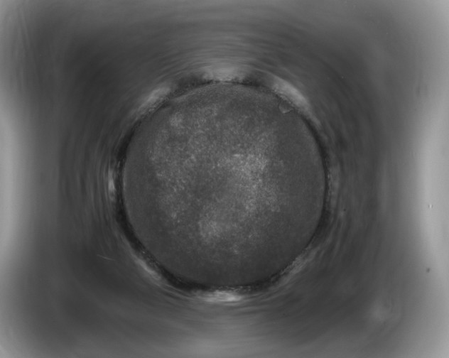 X0000086280114200704122054