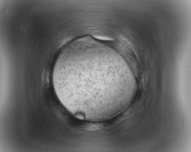 X0000086280115200704122054