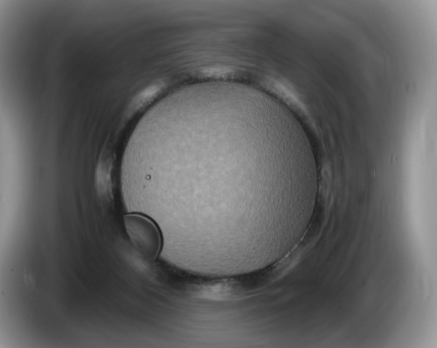 X0000086280116200704122054