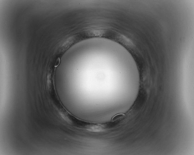 X0000086280122200704122054