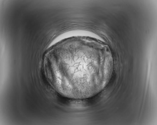 X0000086280123200704122054