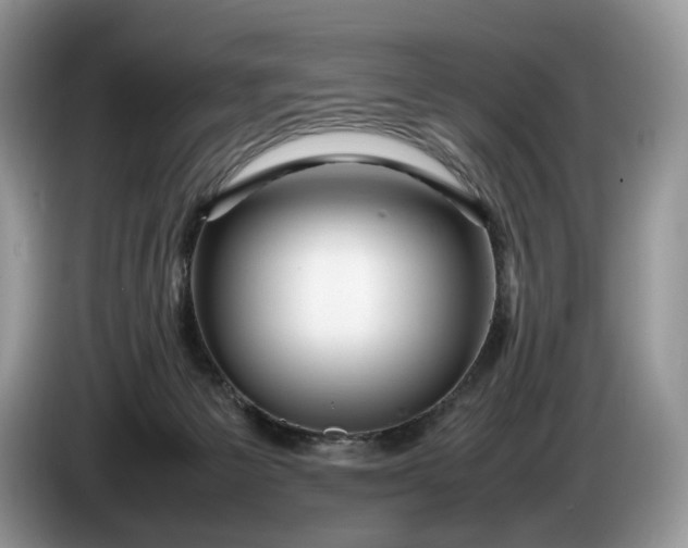 X0000086280125200704122054