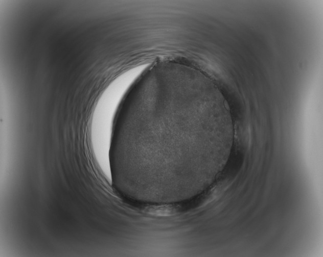 X0000086280127200704122054