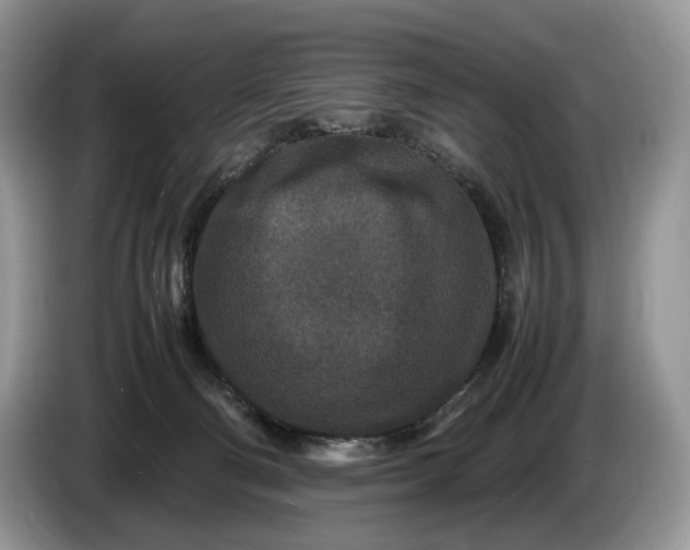 X0000086280130200704122054