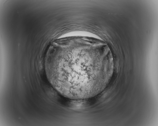 X0000086280131200704122054