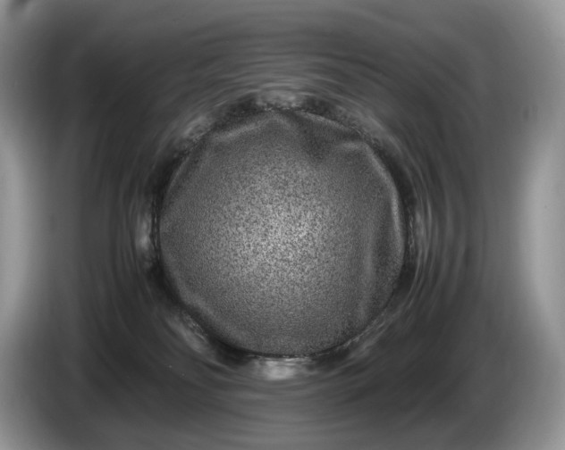 X0000086280134200704122054