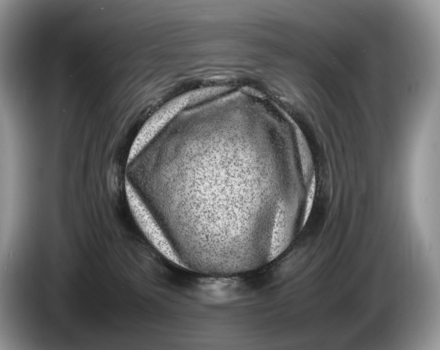 X0000086280135200704122054