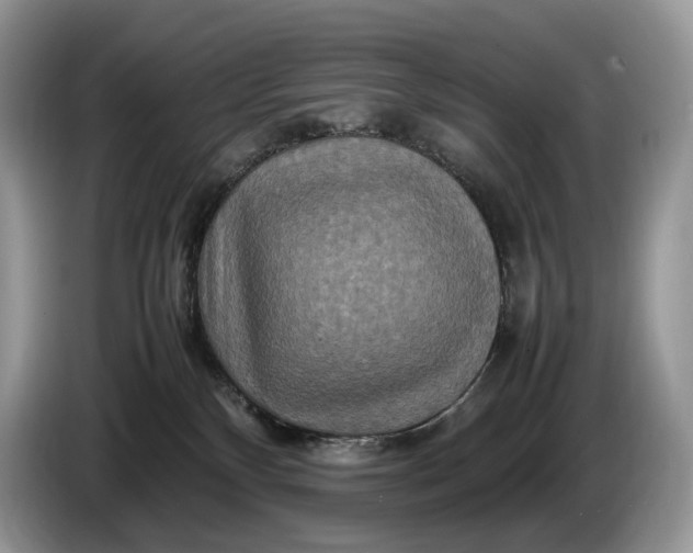 X0000086280136200704122054