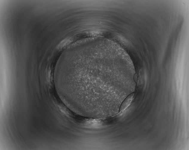 X0000086280140200704122054