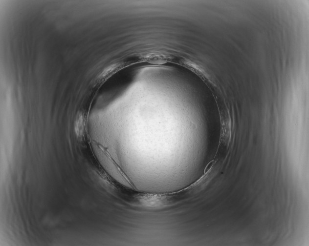 X0000086280142200704122054