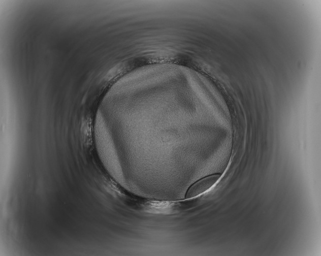 X0000086280144200704122054