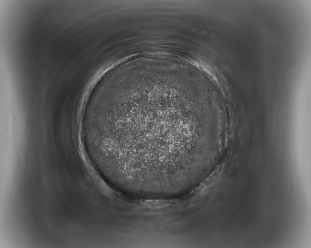 X0000086280145200704122053