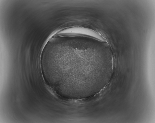 X0000086280147200704122053