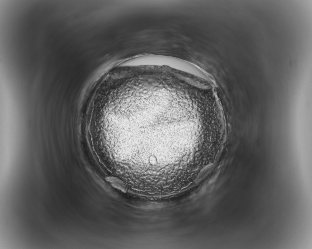 X0000086280149200704122053