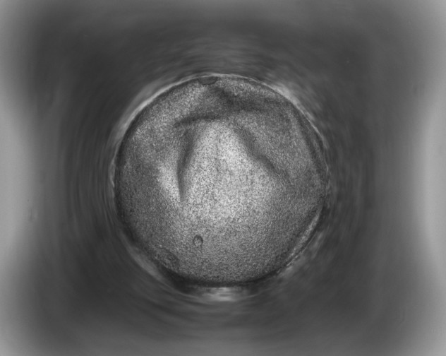 X0000086280151200704122053