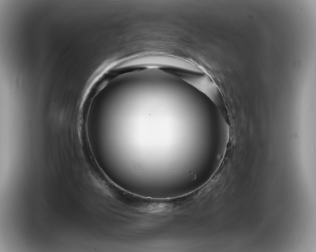 X0000086280152200704122053