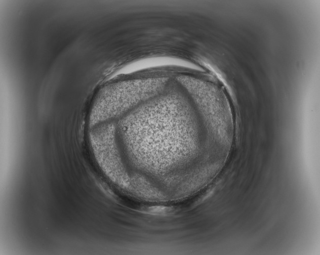 X0000086280153200704122053