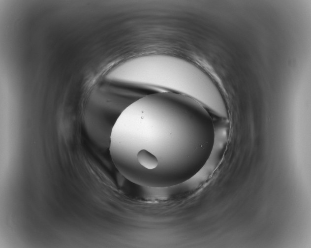 X0000086280154200704122053