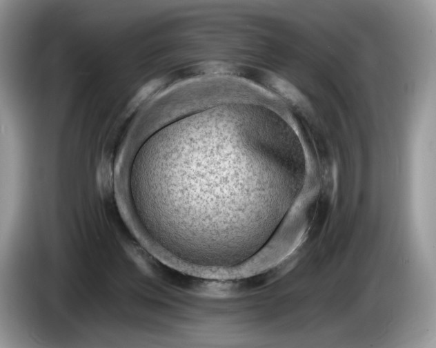 X0000086280158200704122054